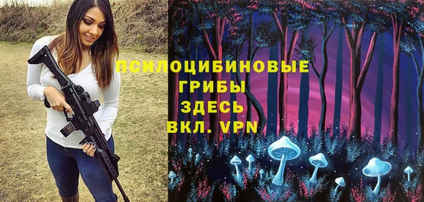 гашик Алексеевка