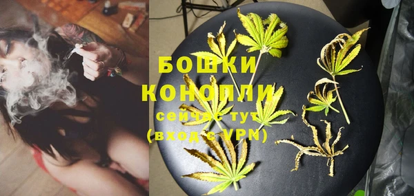 мет Арсеньев